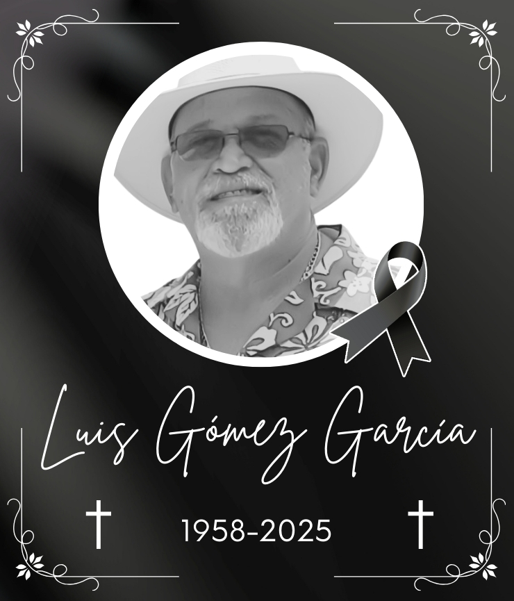 Sr. Luis Gómez García